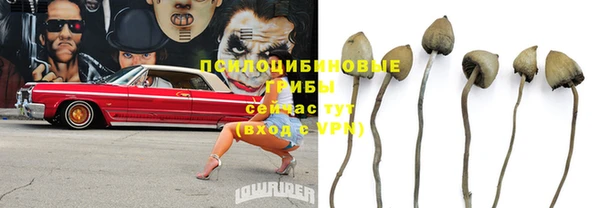 метадон Заводоуковск