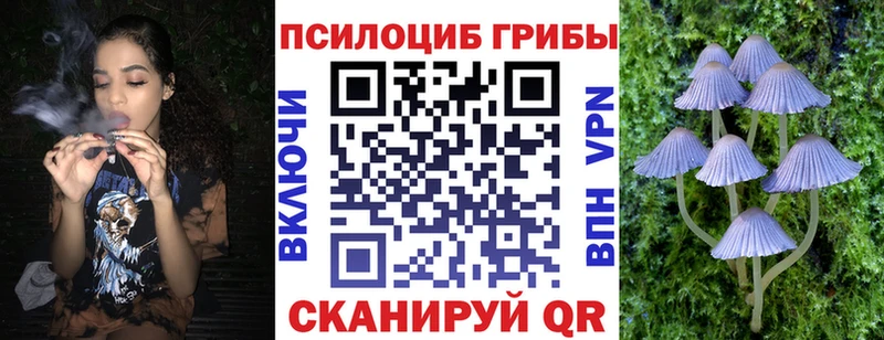 Галлюциногенные грибы мицелий  Элиста 