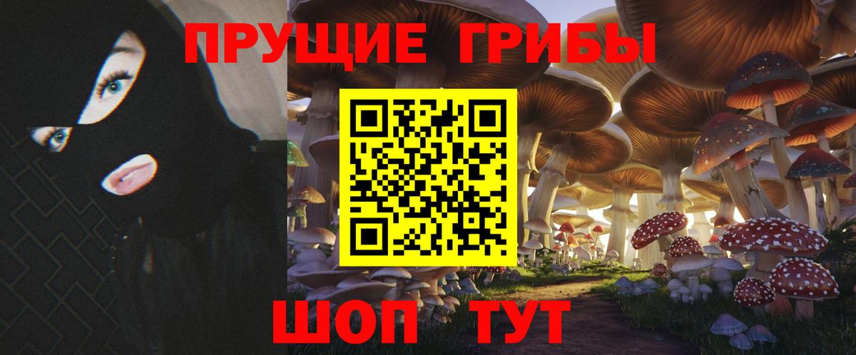 Галлюциногенные грибы прущие грибы Элиста